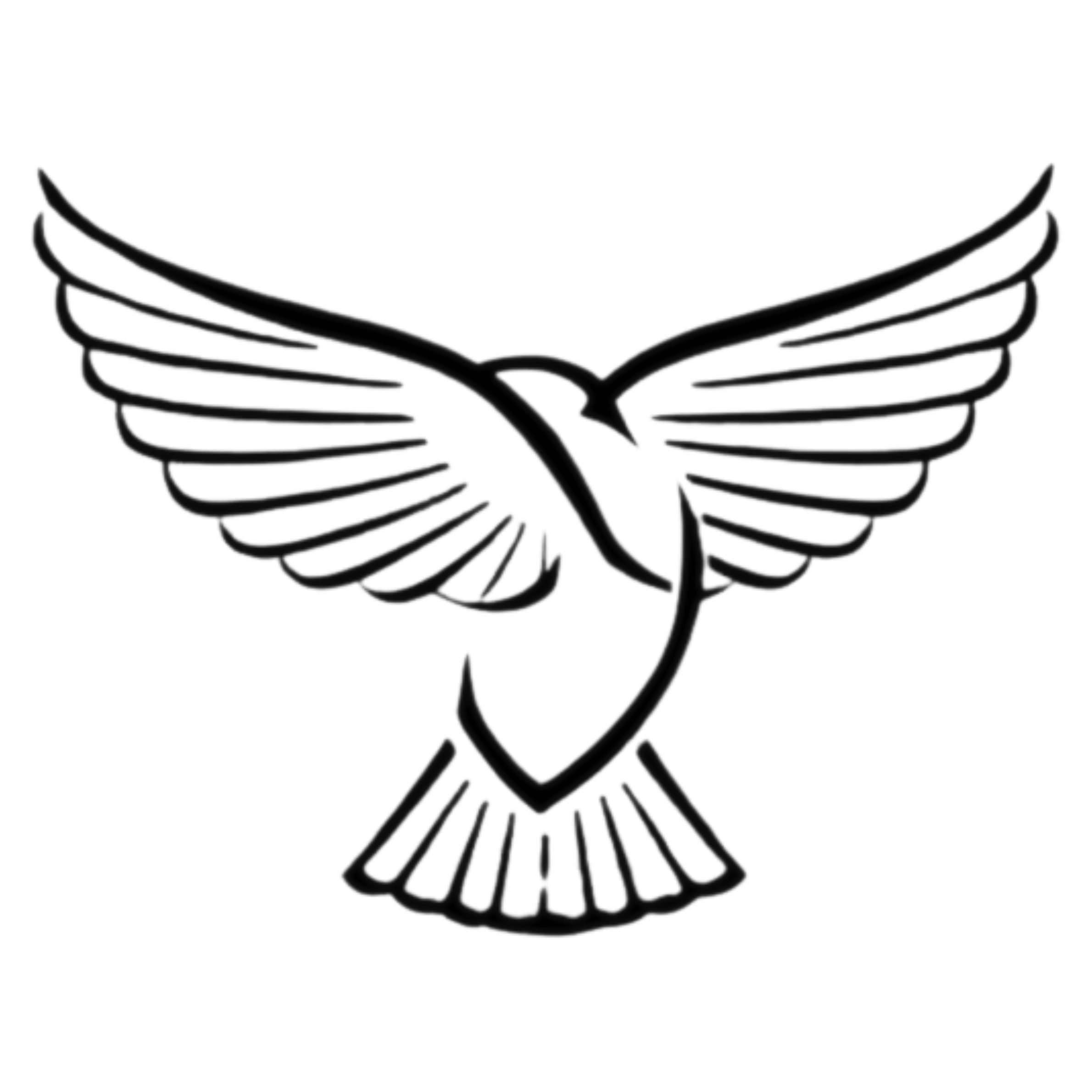 Promise Threads Apparel