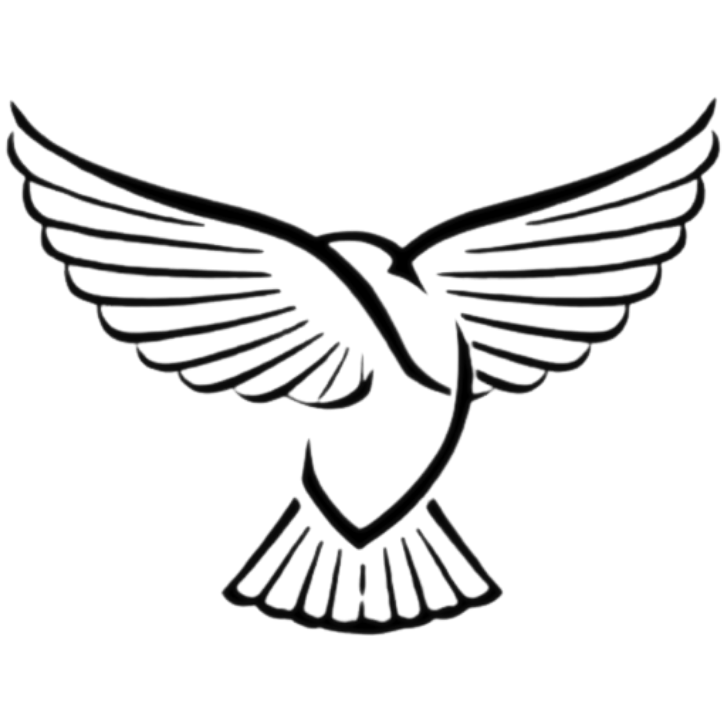 Promise Threads Apparel