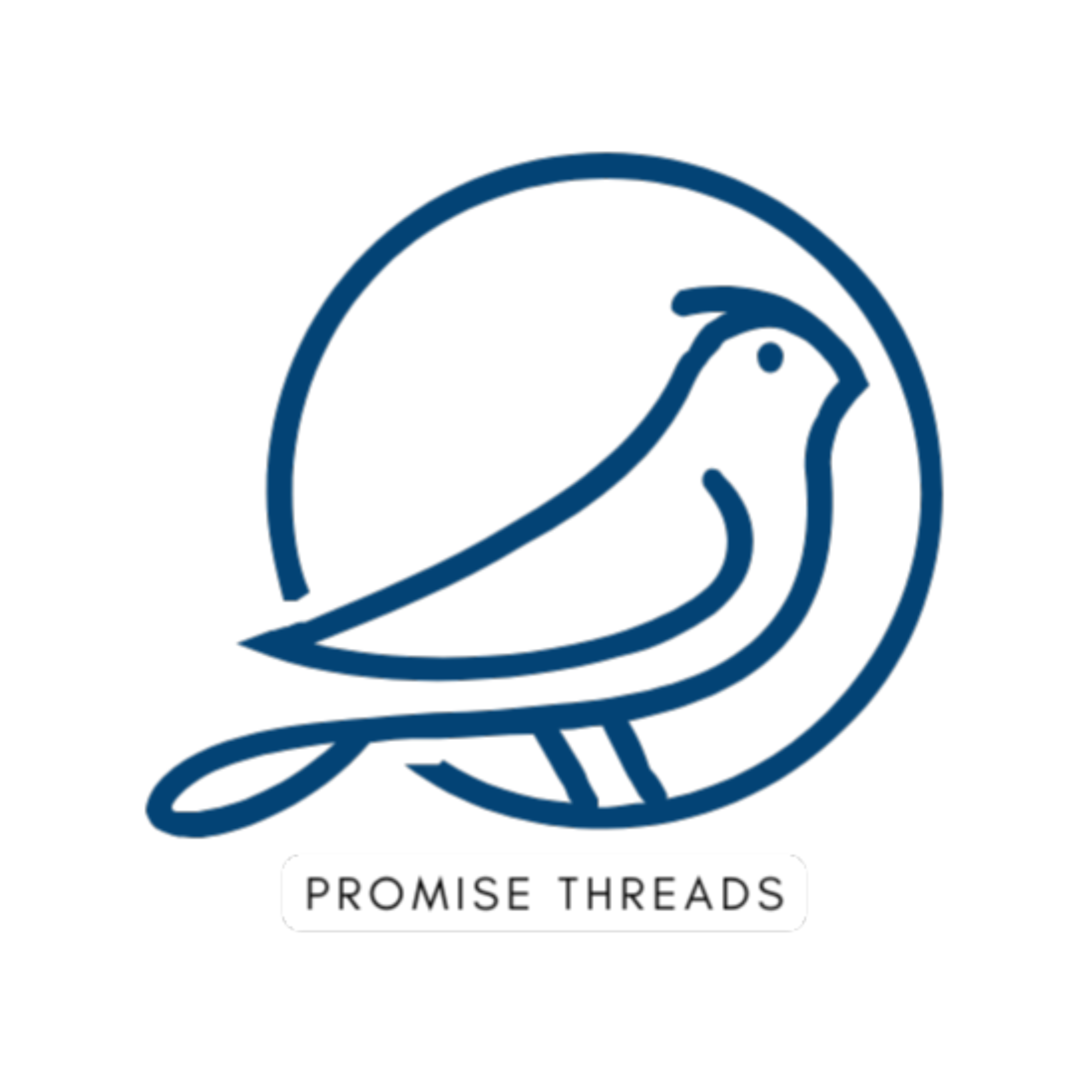 Promise Threads Apparel