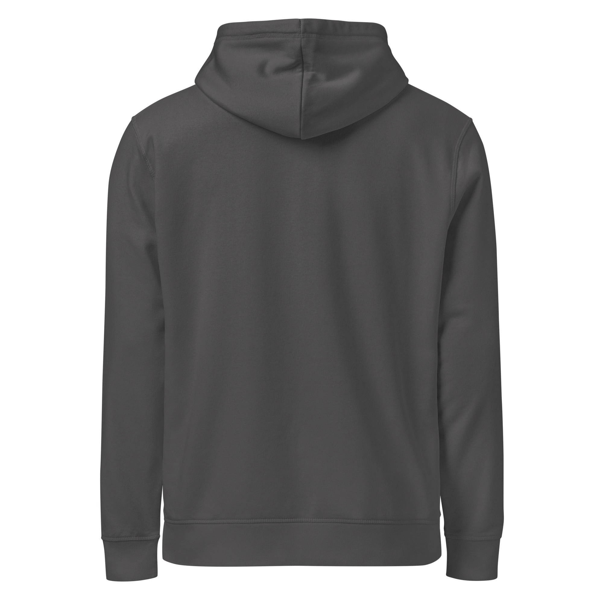 Anthracite alt logo hoodie, back view