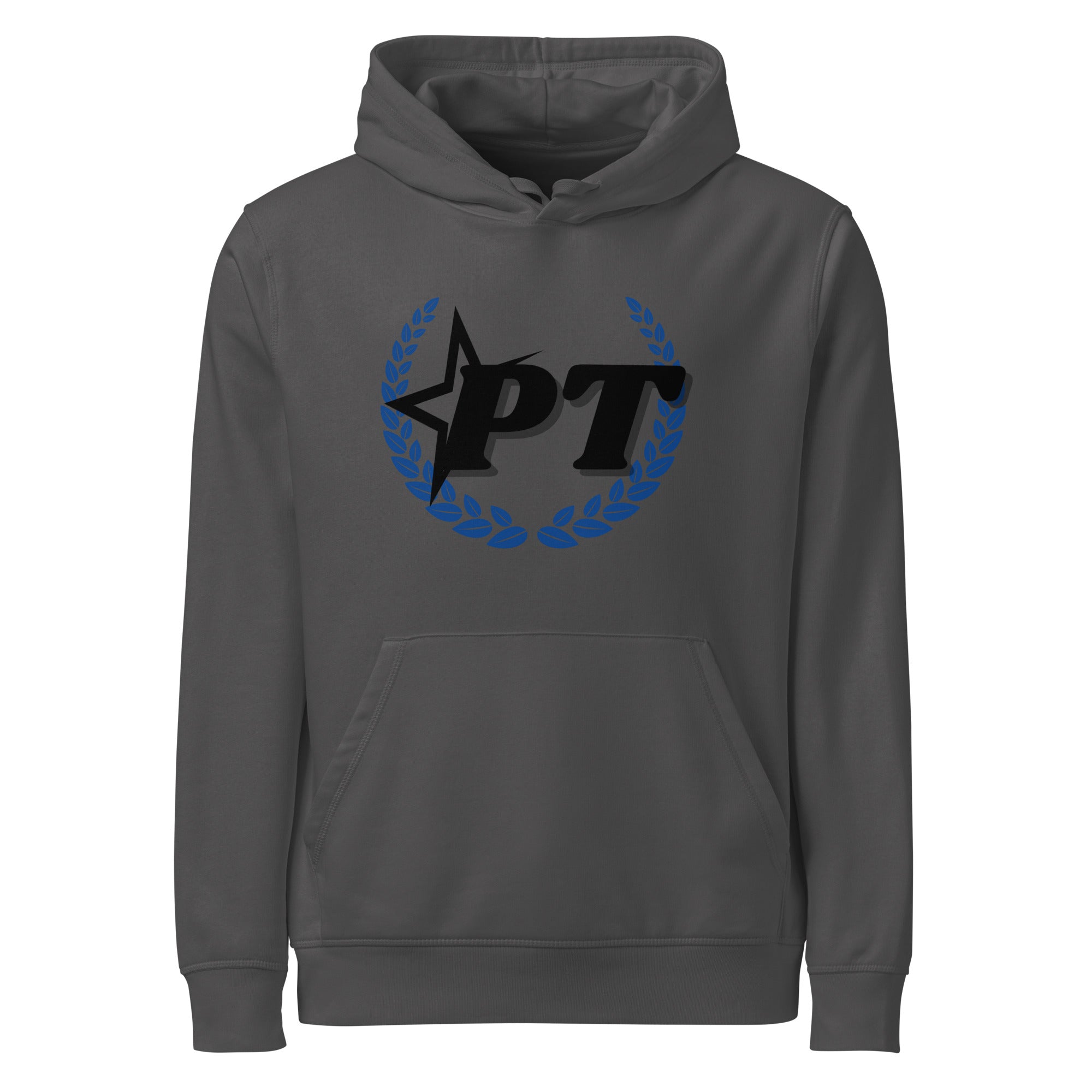 Anthracite alt logo hoodie, front view